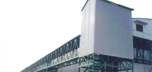 Fixed overhead conveyor line for granary